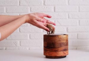 寵物骨灰放家裡