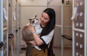 動物義工機構
