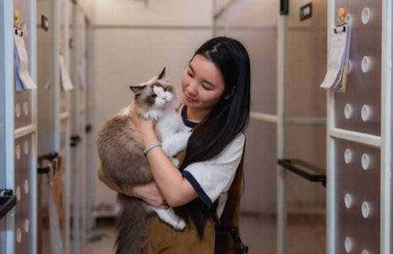 動物義工機構