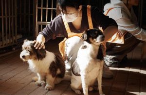 和小狗狗玩耍