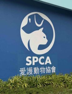 愛護動物協會
