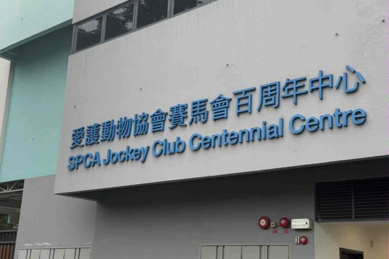 認可慈善捐款扣稅上限：香港捐款扣稅計算&申請指南